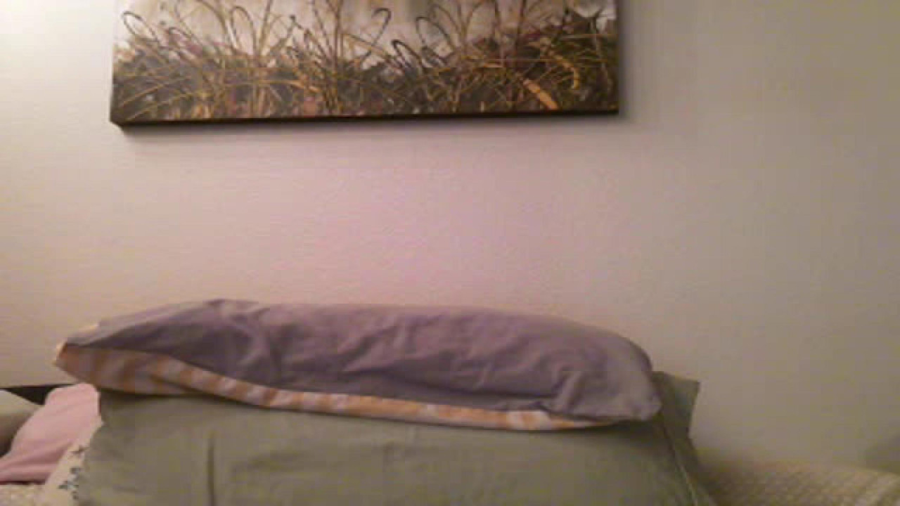 pizzakitten show [2017/04/02 05:51:46]