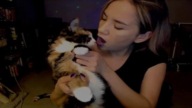 mirah video [2016/11/08 05:00:27]