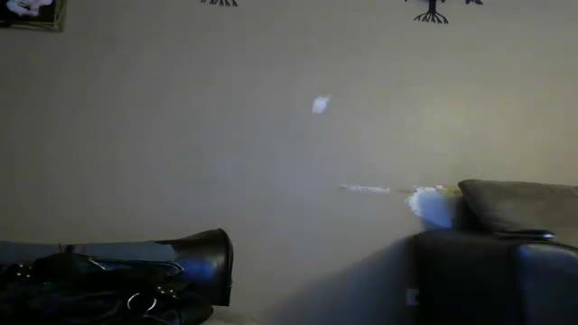 allykat20 recorded [2017/01/19 09:10:31]