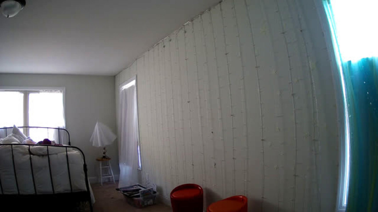 anabellepync2 recorded [2017/02/13 20:21:08]