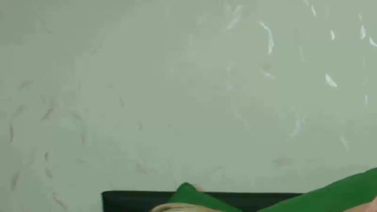 dirtynancys recorded [2017/05/04 06:10:29]
