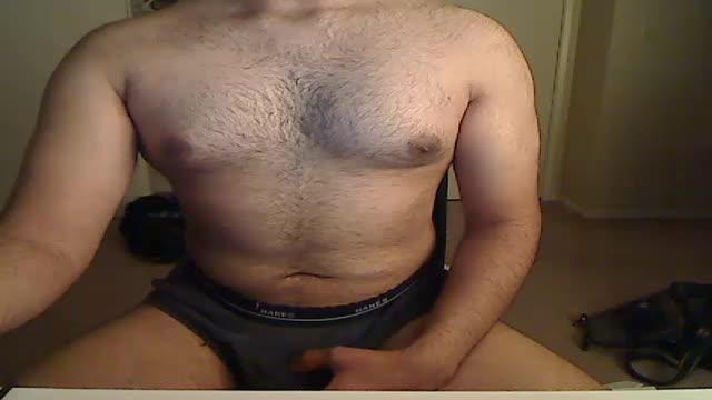 rarebrownbear
