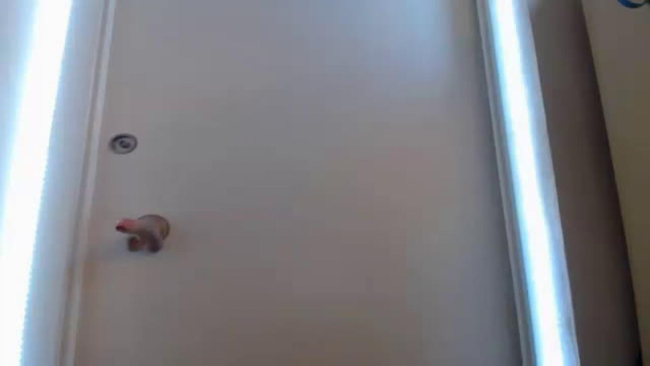 bella_venus