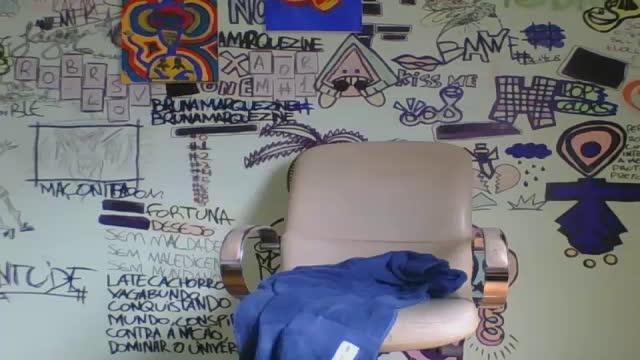 gatinhobrasil1
