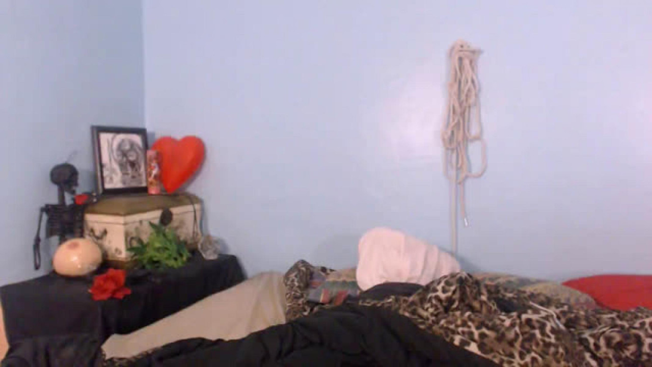 oliviacambell Outdoor Webcam [2017/04/15 - 03:39:57]