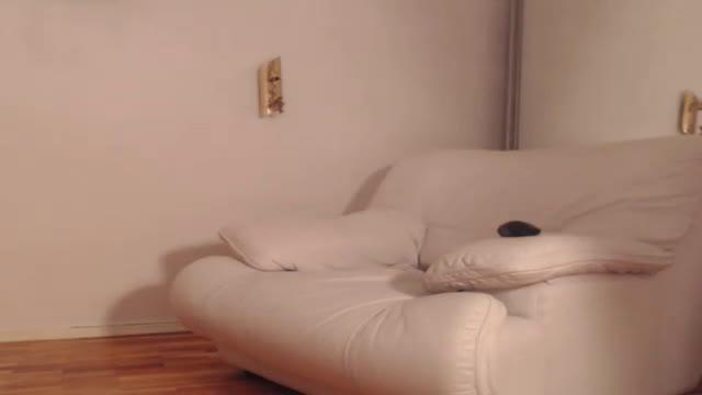 amyreyd [2016/12/12 18:56:26]