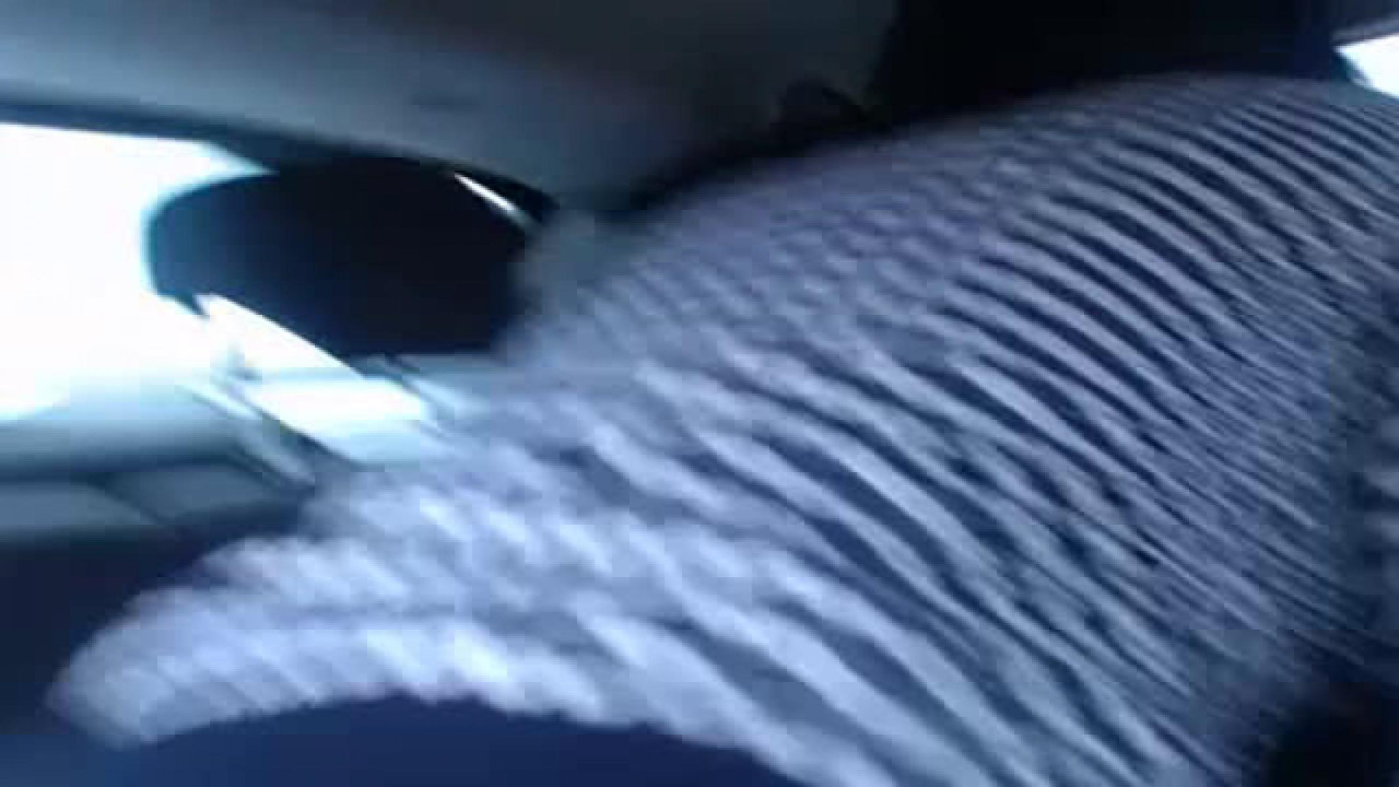 virgincouple nude [2017/03/10 15:50:30]