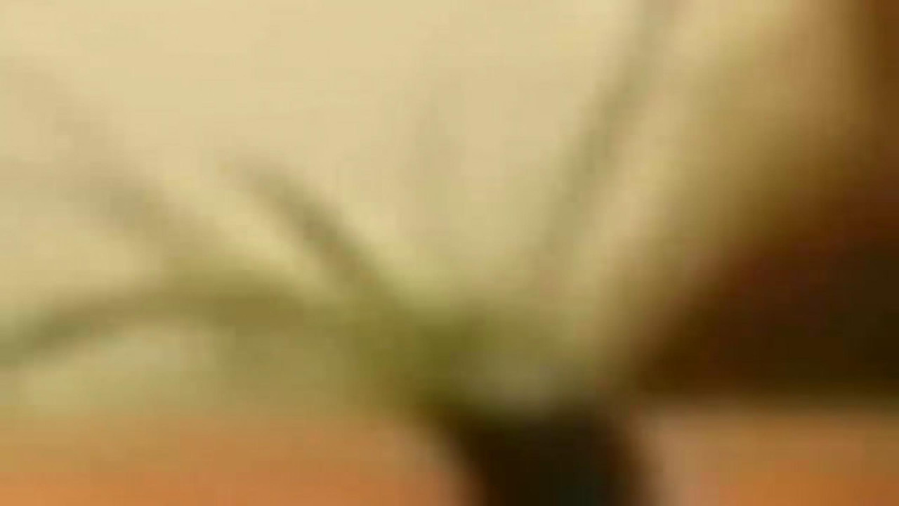 visualviagrax download [2017/02/27 05:20:53]