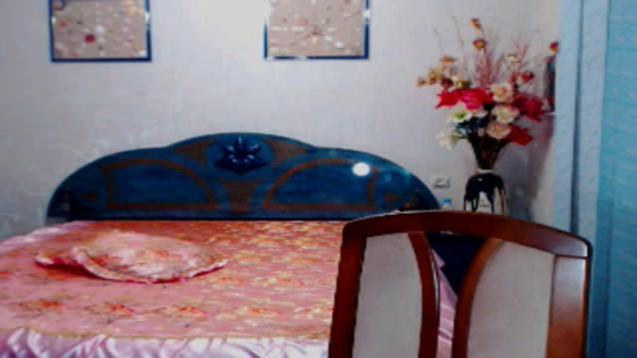 pinksi adult [2017/05/03 20:30:28]