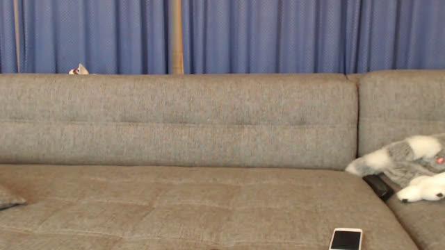 likarich xxx [2016/11/11 20:01:16]