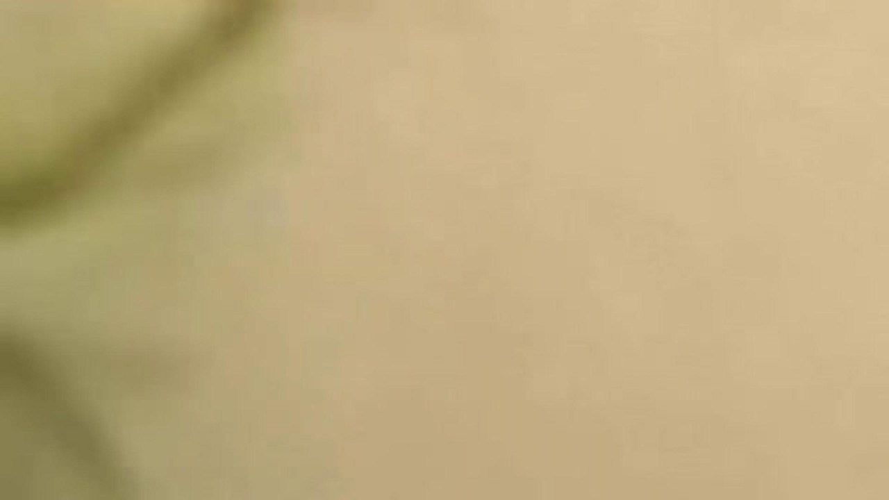 visualviagrax video [2017/02/12 19:11:09]