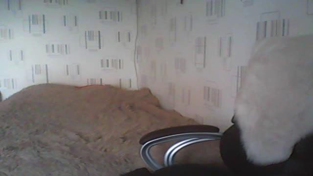 elsa_li recorded [2016/11/21 08:35:44]