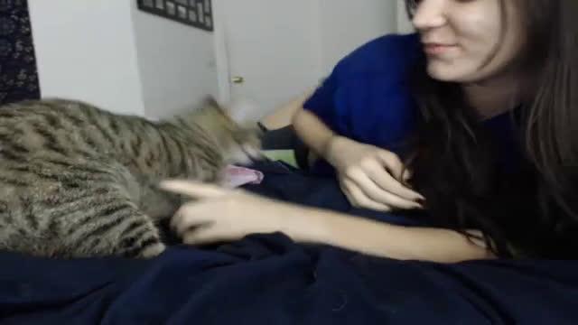 hollymichaels