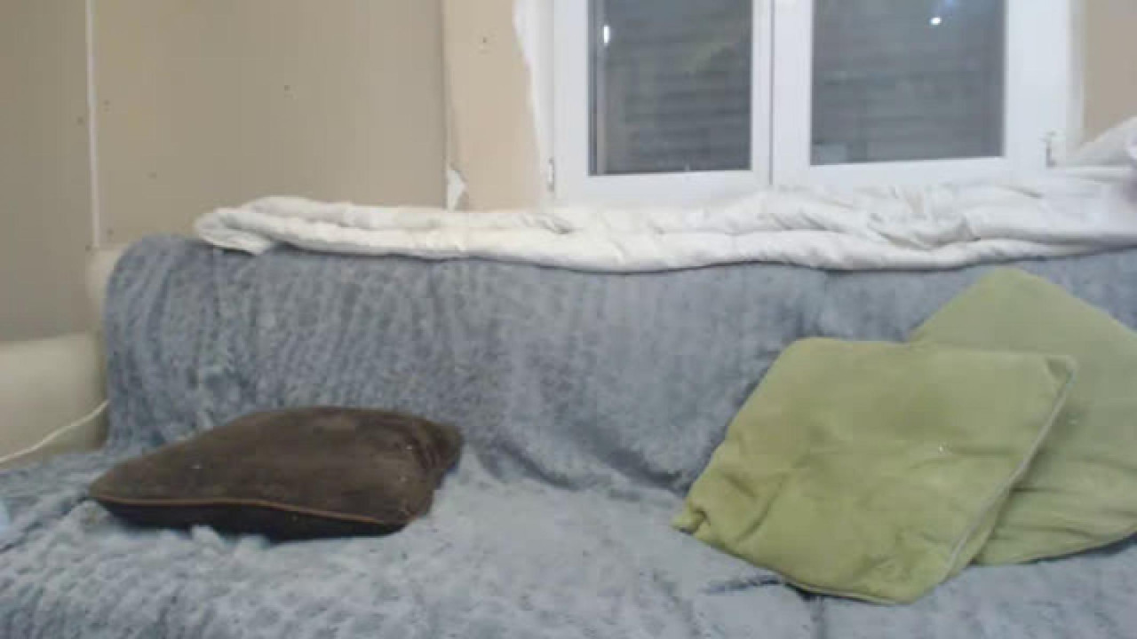 mistrale80 Doggy Webcam [2017/05/06 - 12:31:08]