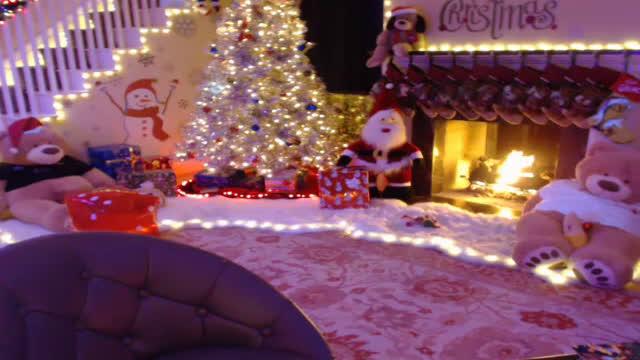 misschristmas webcam [2016/12/26 09:40:52]