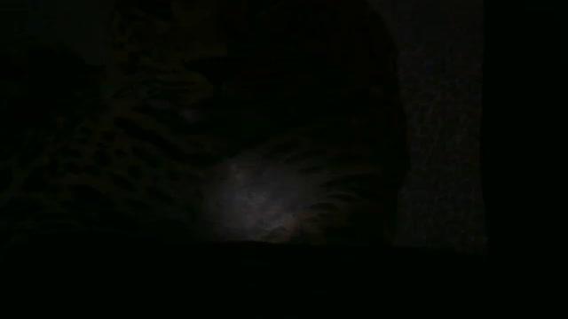 mchsyourhear [2017/01/08 22:09:11]