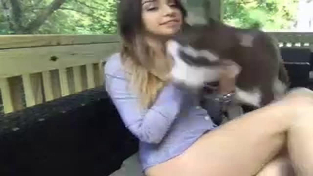 slothmoon Ass Movie [2017/05/08 - 22:46:10]