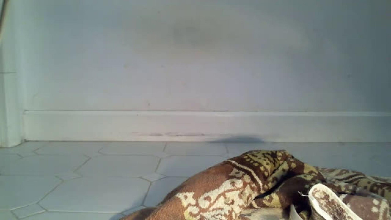 ivan0903 Naked [2017/06/25 - 10:21:34]