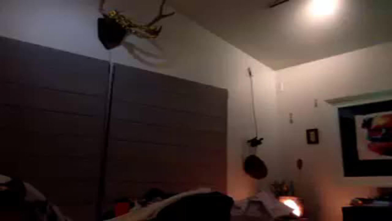 myfacethebestseatnthehouse download [2017/04/26 11:50:30]