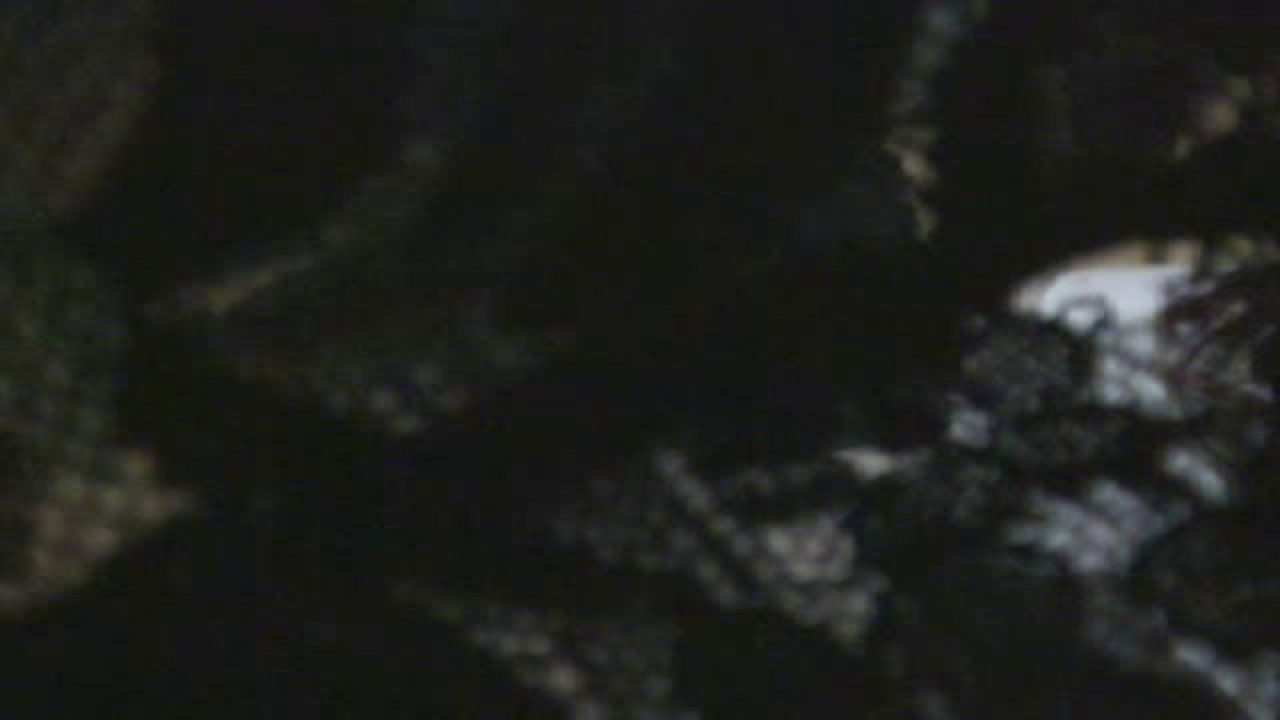 greensaphire nude [2017/02/26 10:30:54]