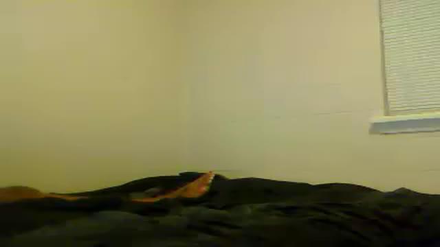 tatted_longpipe porno [2017/02/22 03:57:55]