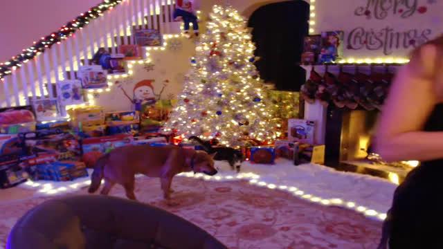 misschristmas porno [2016/12/22 09:32:46]