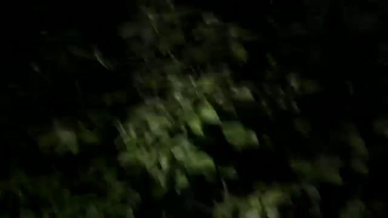 kisenka2017 video [2017/05/01 20:41:43]