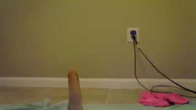 sissymaddie sex [2017/02/16 06:06:16]