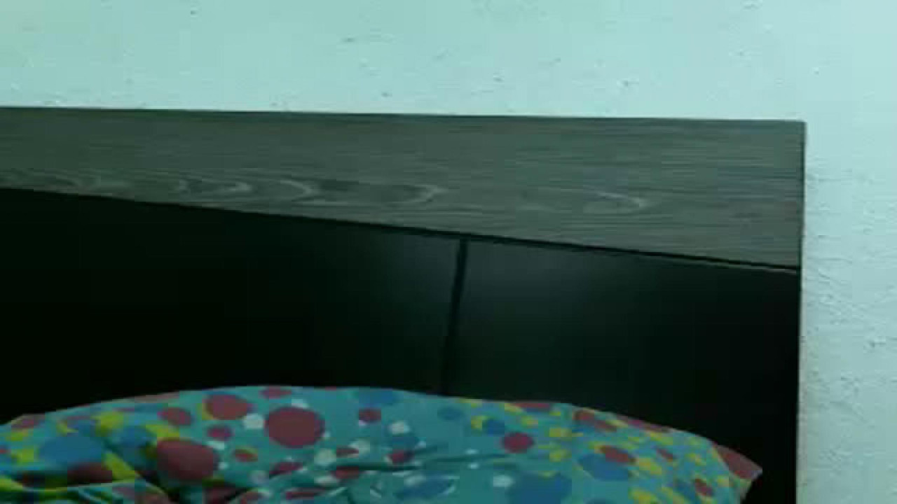 dirtysteffy porno [2017/05/08 04:00:43]