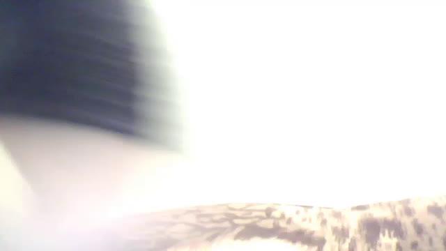 sweetalice5 recorded [2016/11/20 13:40:27]