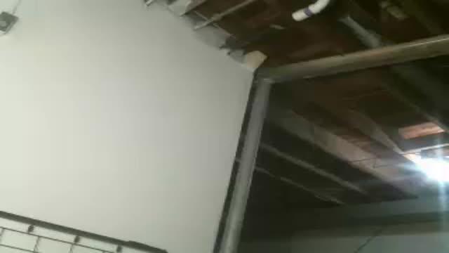 noramaddison adult [2016/11/16 11:30:30]