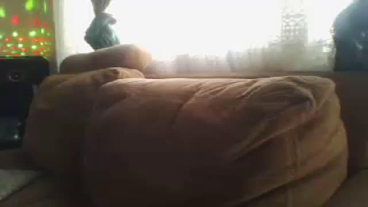 kandy_hard download [2017/04/02 19:35:42]