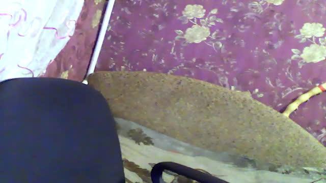 olivebell video [2016/11/11 18:36:47]