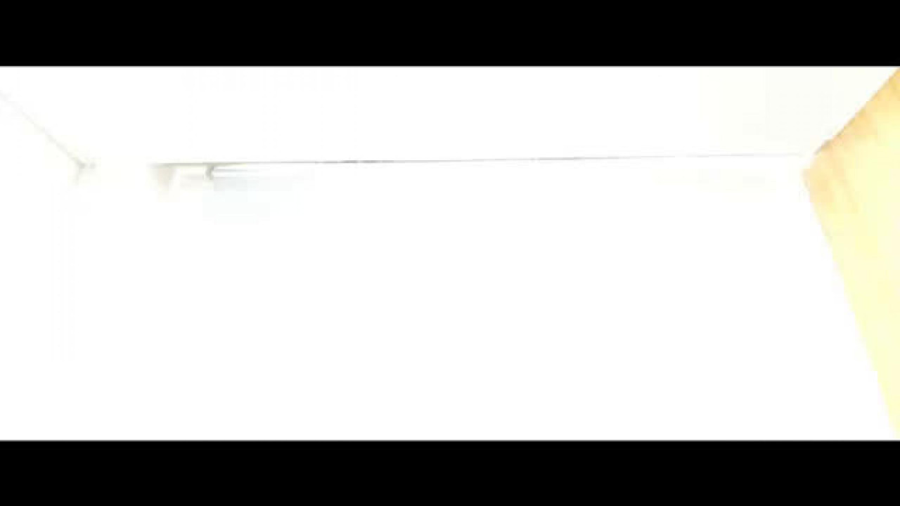 tarib adult [2017/02/22 17:51:33]