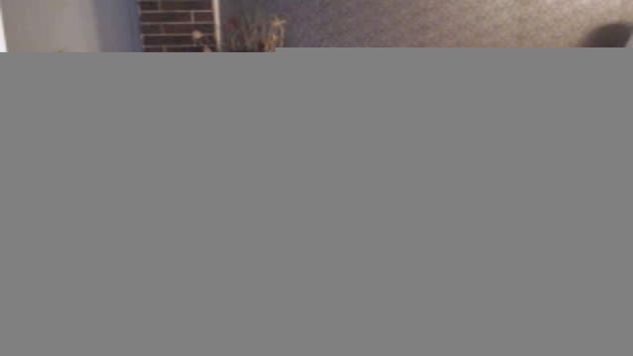setonfire24 download [2017/02/26 18:52:17]