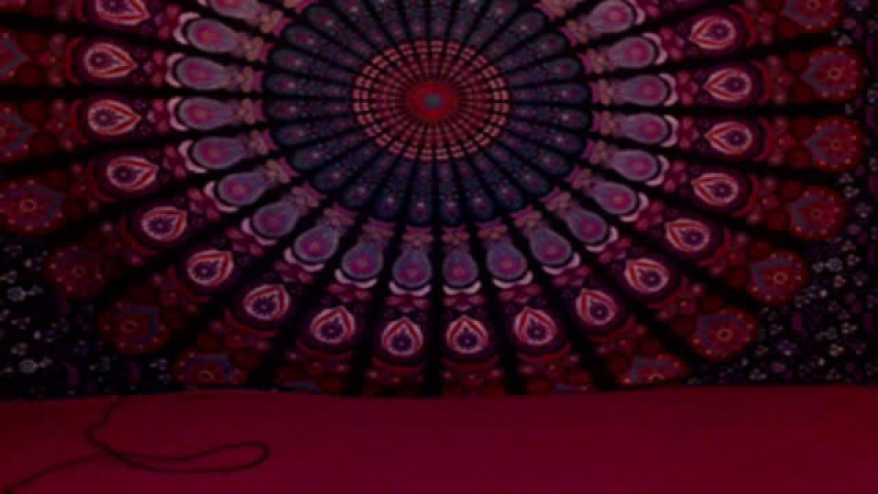 jadacoxxx ManyVids [2017/06/28 - 03:09:28]