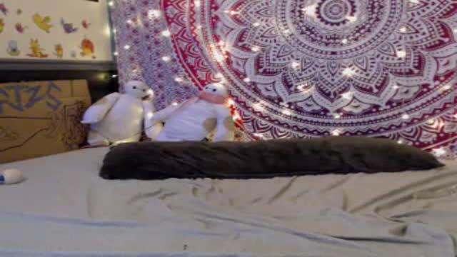 sidsinclaire video [2017/01/15 12:31:19]