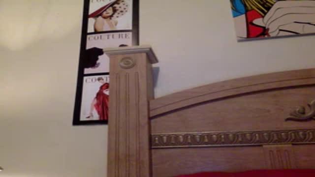 roundpeach webcam [2016/12/25 03:00:44]