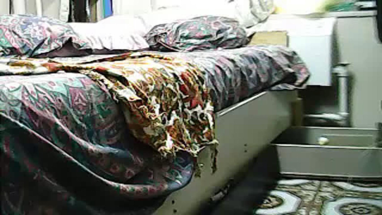 bluntlady adult [2017/04/20 22:35:40]