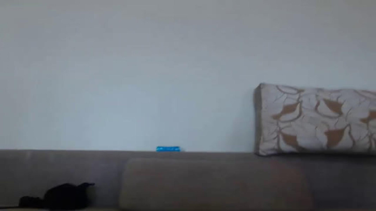 sexanddeepthroat xxx [2017/04/29 11:00:30]