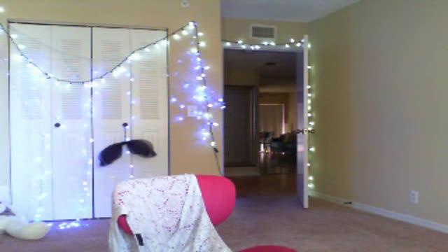 nataliefawn webcam [2017/01/12 16:15:27]