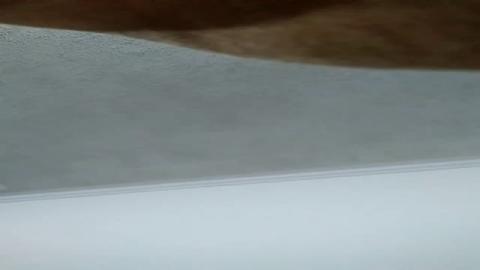 nohumo
