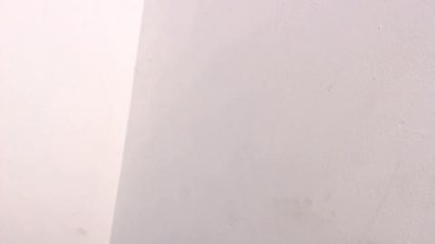 MinnaMoss [2019-09-09 22:57:01]