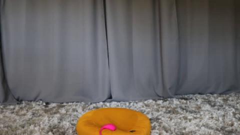 xobondaixo [2019-09-29 21:00:17]