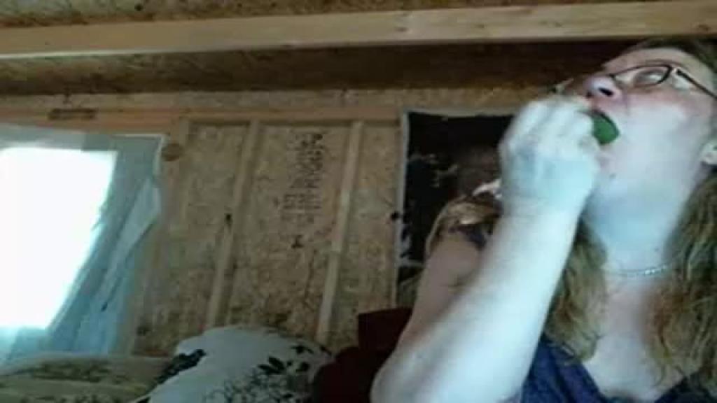 lilpitbullparty Deep Webcam [2017/05/30 - 20:50:28]