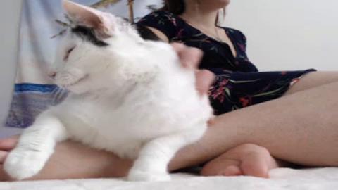 Kittylacee [2019-05-26 14:34:31]