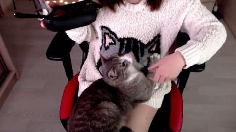 meowrrr