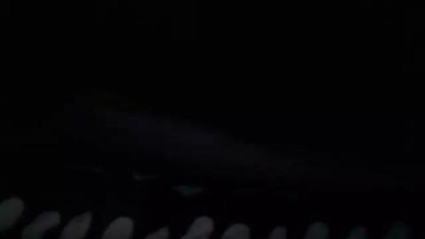 transstacey80