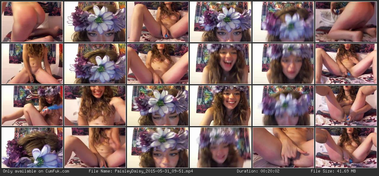 paisleydaisy [2015/05/31 09:51]