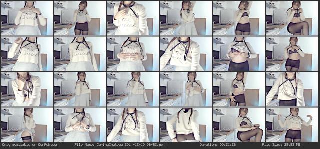 carinachateau [2014/12/10 17:35:15]